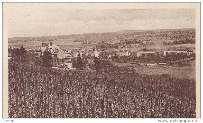 LUX6  --  REMICH   --  HOPITAL ST. JOSEPH. VUE PRISE DU PRIMERBERG - Remich