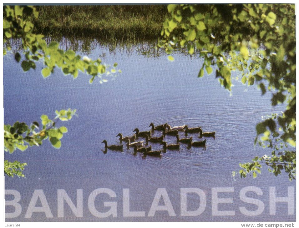 (158) Bangladesh - Duck - Bangladesh