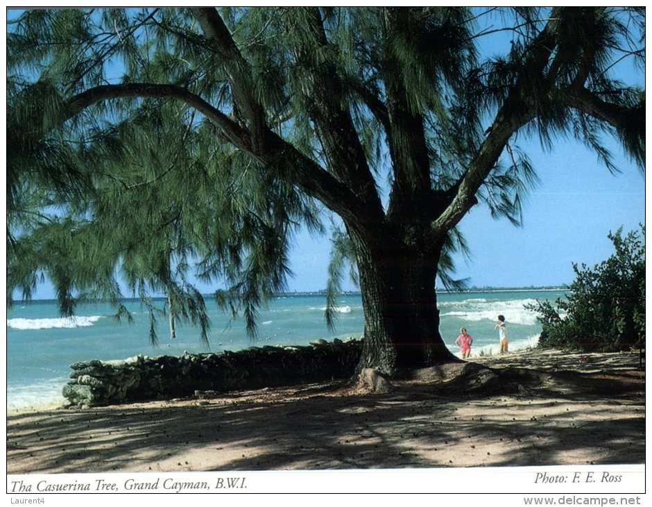 (789) Cayman Islands - Iles Caïman - Beach - Caimán (Islas)