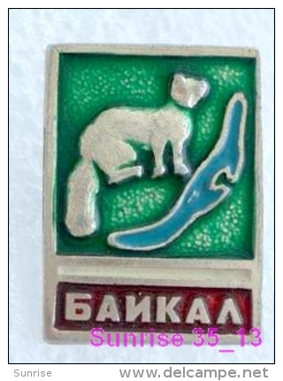 Animals: Sable - Zibeline - Sobol National Park Baikal / Old Soviet Badge_035_an2206 - Animals