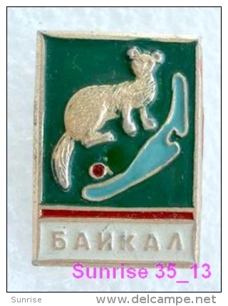 Animals: Sable - Zibeline - Sobol National Park Baikal / Old Soviet Badge_035_an2236 - Animals