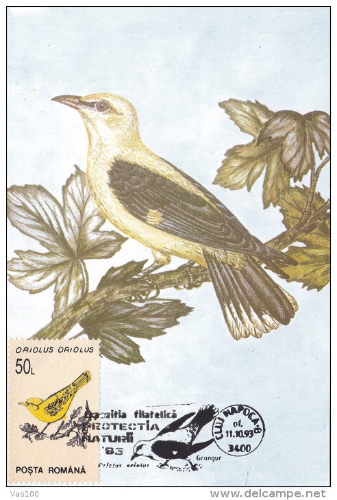 OISEAUX,BIRDS, ORIOLUS, GRANGUR, CM,CARTES MAXIMUM, MAXI CARD,1993,ROMANIA - Perdrix, Cailles