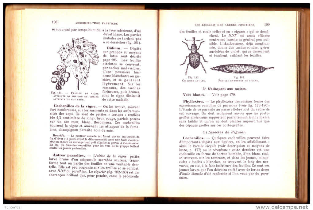 Delplace et Dauguet - Arboriculture Fruitière - Éditions Lamarre-Poinat - ( 1964 ) .