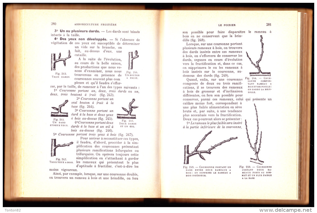 Delplace et Dauguet - Arboriculture Fruitière - Éditions Lamarre-Poinat - ( 1964 ) .