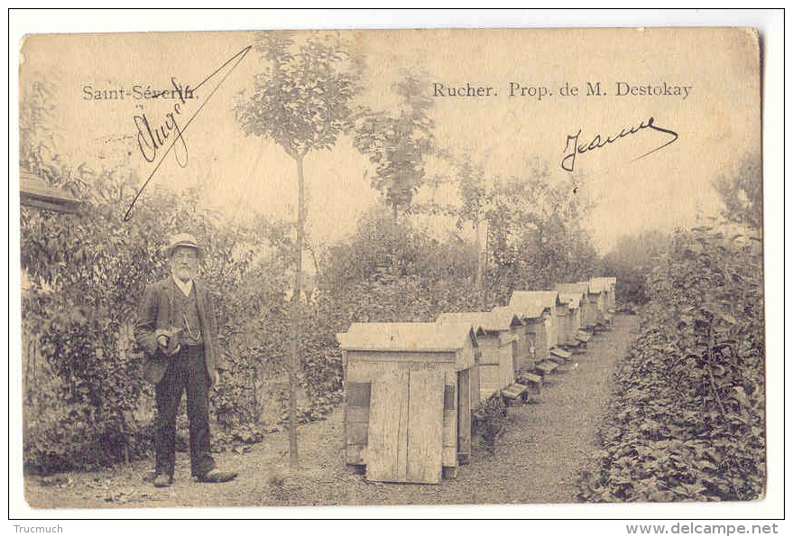 E2095 - Saint-Séverin - Rucher. Prop. De M Destokay *métier*abeilles*miel* - Nandrin