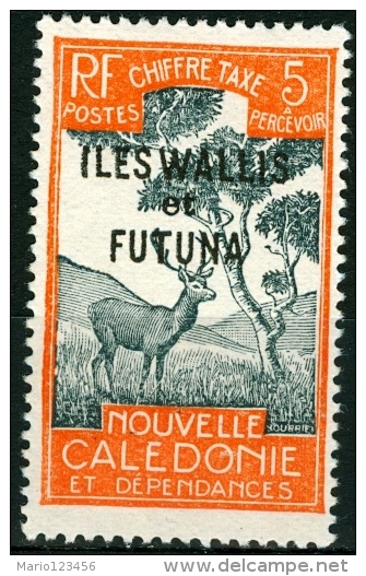 WALLIS FUTUNA, COLONIA FRANCESE, FRENCH COLONY, 1930, SEGNATASSE,FRANCOBOLLO NUOVO, (MNG), Mi P13, Scott J13, YT T13 - Ungebraucht