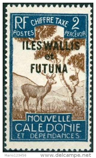 WALLIS FUTUNA, COLONIA FRANCESE, FRENCH COLONY, SEGNATASSE, FAUNA, CERVO, 1930,  NUOVO,  (MNG), Mi P11, Scott J11 - Unused Stamps