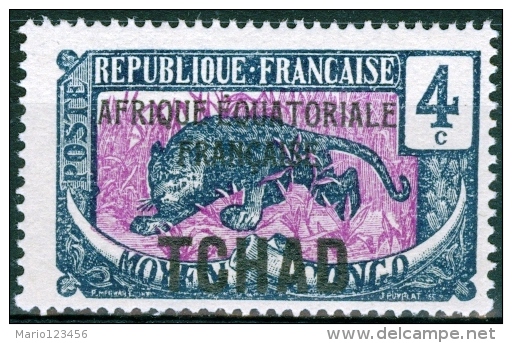 CHAD, TCHAD, CIAD, COLONIA FRANCESE, FRENCH COLONY, 1924-1933, FRANCOBOLLO NUOVO, SENZA GOMMA (MNG), Scott 21 - Nuovi