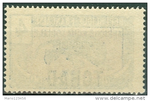 CHAD, TCHAD, CIAD, COLONIA FRANCESE, FRENCH COLONY, 1924-1933, FRANCOBOLLO NUOVO, SENZA GOMMA (MNG), Scott 21 - Unused Stamps