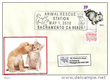 USA. Adopt A Pet., Adoptez Un Chat Ou Chien ,Sacramento, Californie,  Enveloppe Souvenir 2010 - Cani