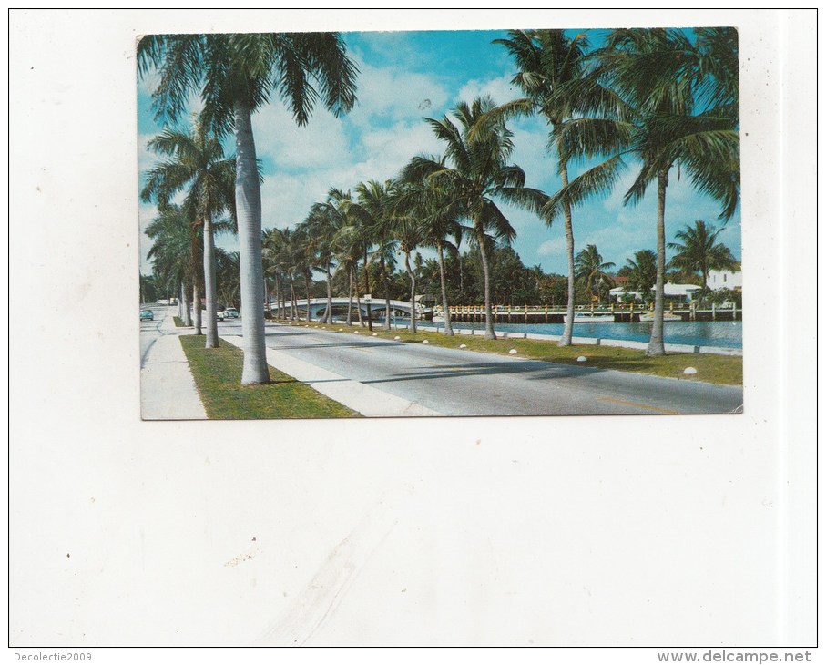 BT15589  Las Olas Boulevard In Fort Lauderdale    2 Scans - Fort Lauderdale