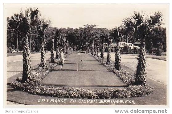 Florida Silver Springs Entrance Real Photo RPPC - Silver Springs