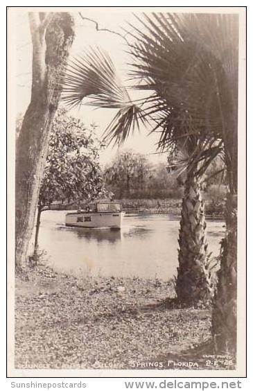 Florida Silver Springs Jungle Cruise Real Photo RPPC - Silver Springs