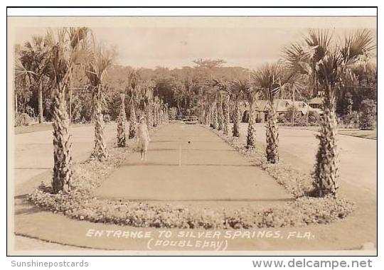 Florida Silver Springs Entrance Real Photo RPPC - Silver Springs