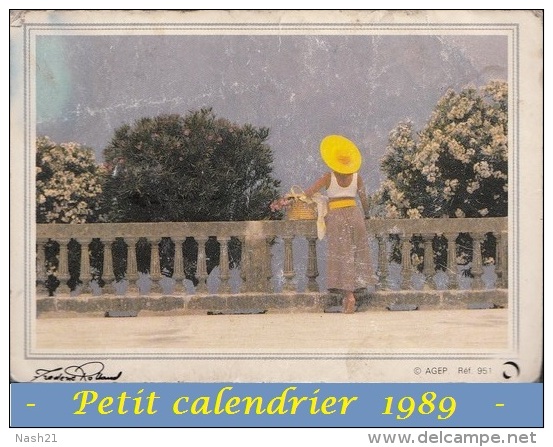 - Calendrier 1989 - - Petit Format : 1981-90