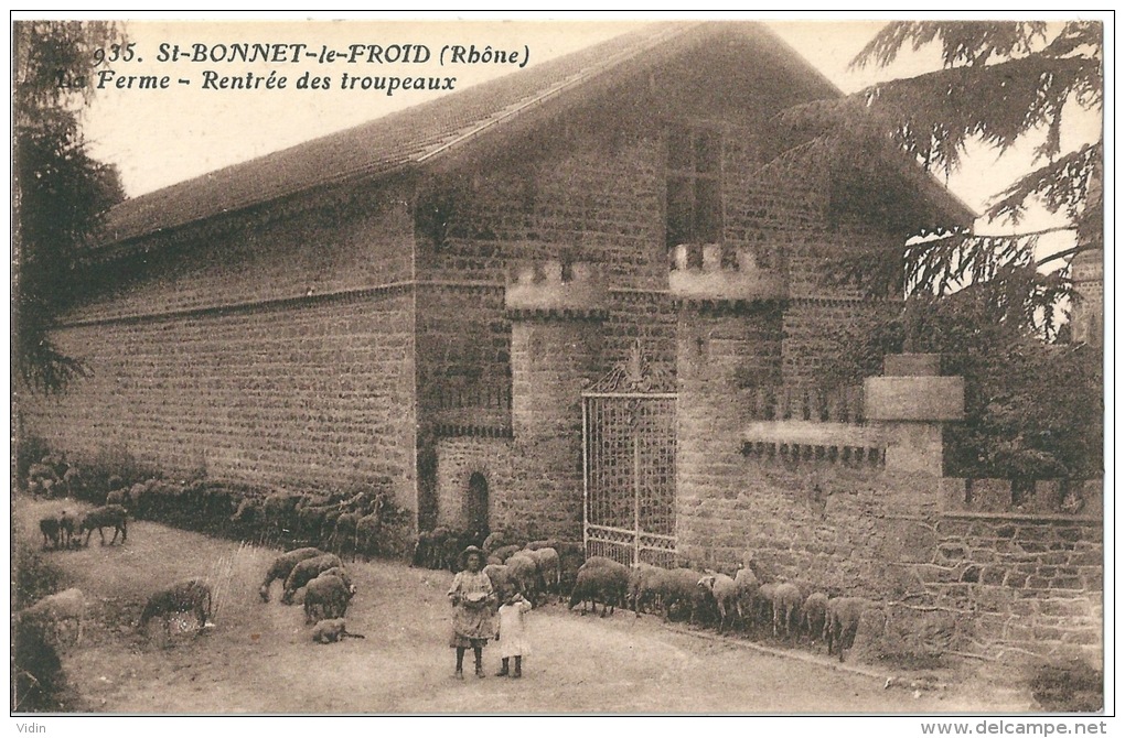 Saint Bonnet Le Froid Ferme Rentrée Des Troupeaux Enfants - Otros & Sin Clasificación