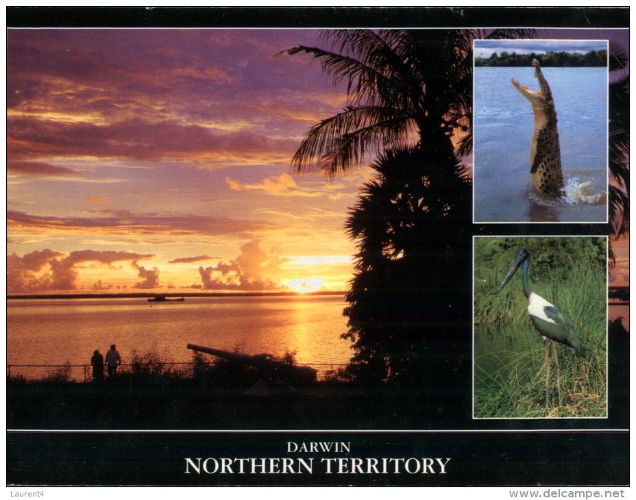 (546) Australia - NT - With Crocodile Et Jabiru Bird + Sunset - Darwin