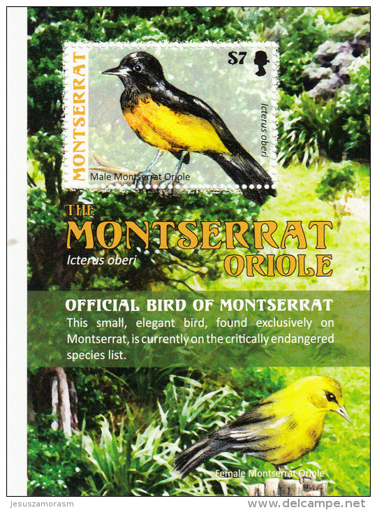 Montserrat Hb - Montserrat