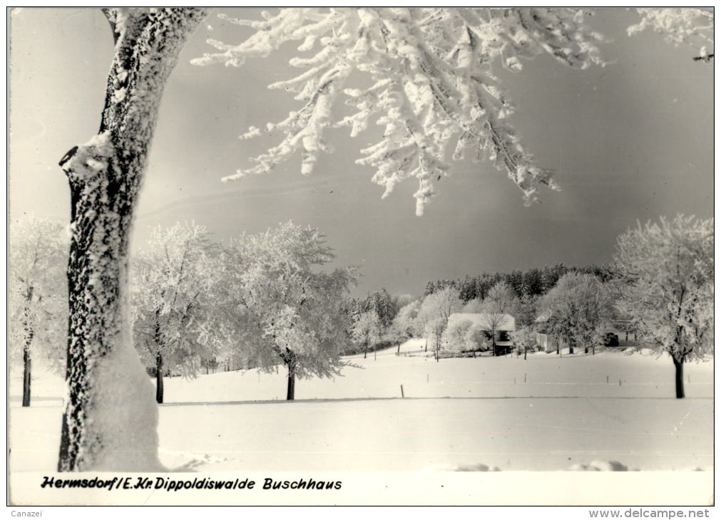AK Hermsdorf, Kr. Dippoldiswalde, Buschhaus, Gel 1976 - Dippoldiswalde