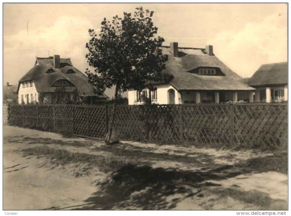 AK Ahrenshoop, Auf Dem Weg Zum Hohen Ufer, Ung, 1962 - Fischland/Darss