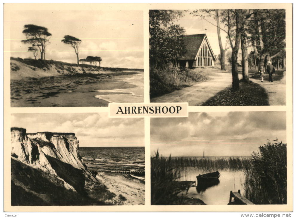 AK Ahrenshoop, Windflüchter Am Darß, Dorfkirche, Hohes Ufer, Bodden, Ung, 1963 - Fischland/Darss