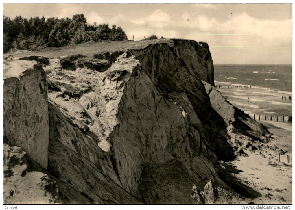 AK Ahrenshoop, Steilküste, Ung, 1963 - Fischland/Darss