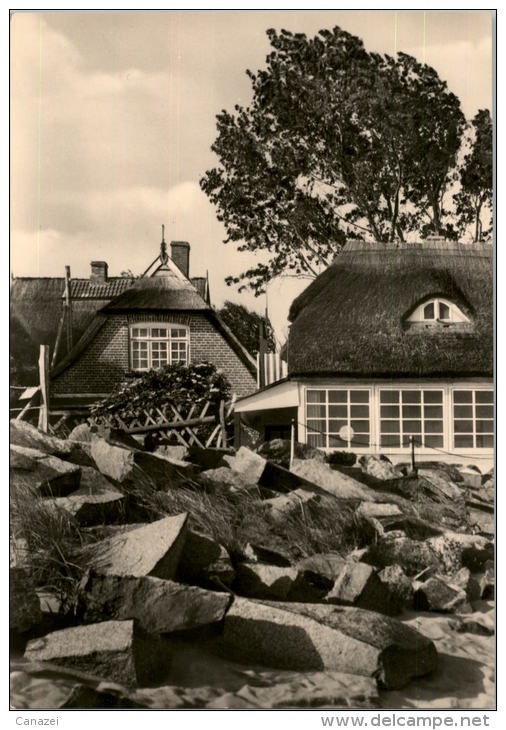 AK Ahrenshoop, Ung, 1972 - Fischland/Darss