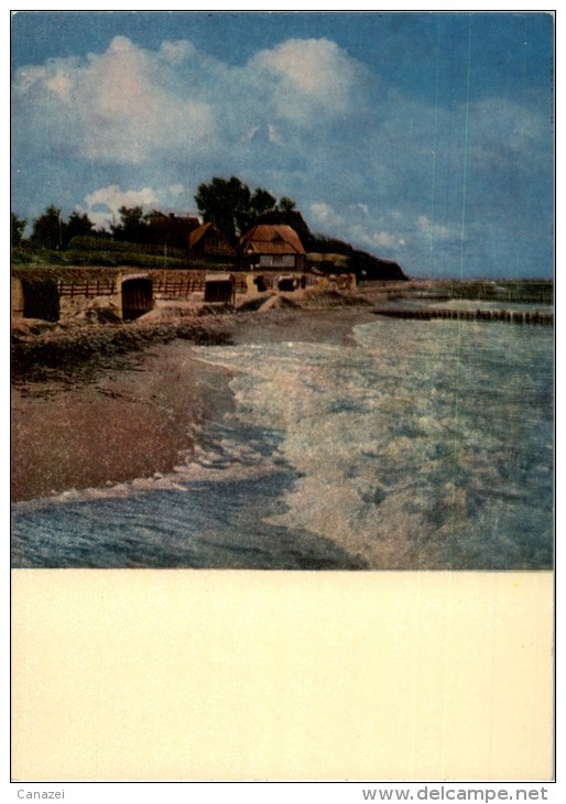 AK Ahrenshoop, Am Strand, Ung, 1965 - Fischland/Darss