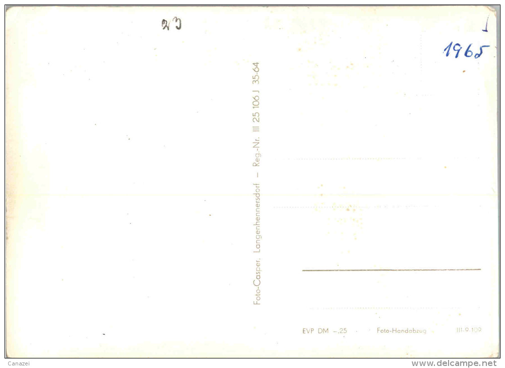 AK Bad Schandau, Bärenzwinger Mit Bummi Und Kullerchen, Ung, 1965 - Bad Schandau