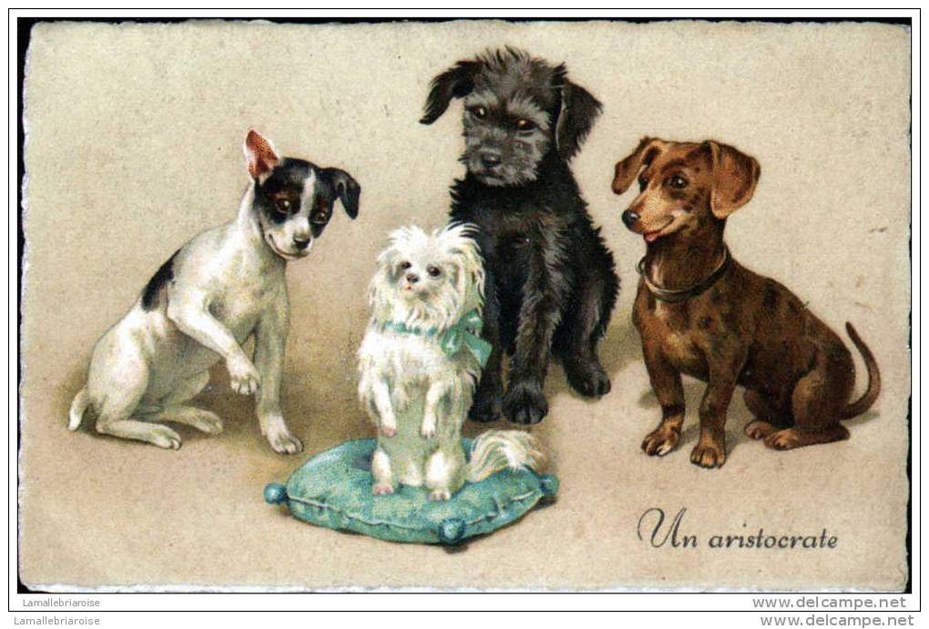 UN ARISTOCRATE - CARTE AVEC CHIENS - Cani