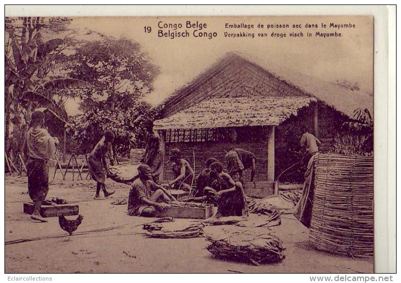 Congo Belge    Emballage De Poisson Sec Dans Le Mayumbe        (voir Scan) - Belgian Congo