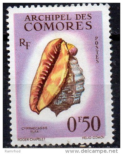 COMOROS 1962 Sea Shells - 50c Bull-mouth Helmet MH - Used Stamps