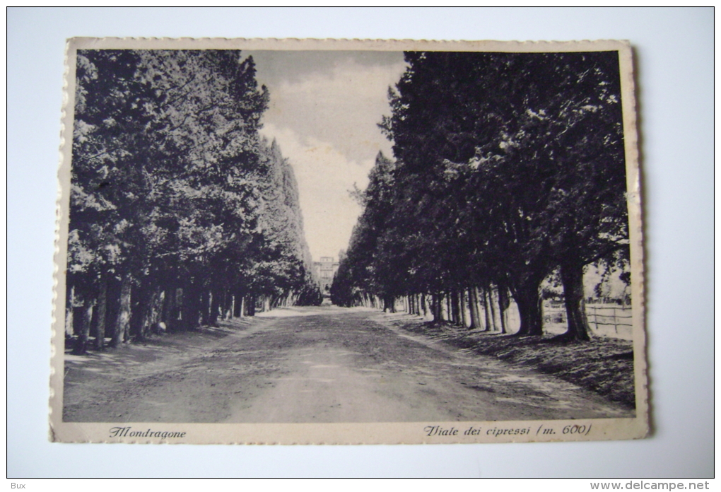 FRASCATI   NOBILE COLLEGIO   MONDRAGONE      ROMA LAZIO  VIAGGIATA  COME DA FOTO IMMAGINE OPACA - Unterricht, Schulen Und Universitäten