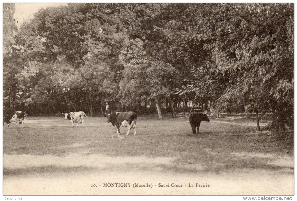 57   MONTIGNY                    Sacré - Coeur         La  Prairie - Other & Unclassified