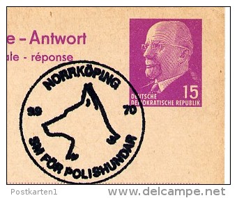 POLIZEI-HUNDE NORRKÖPING Schweden 1970 Auf DDR P74 A Antwort-Postkarte ZUDRUCK BÖTTNER #1 - Policia – Guardia Civil