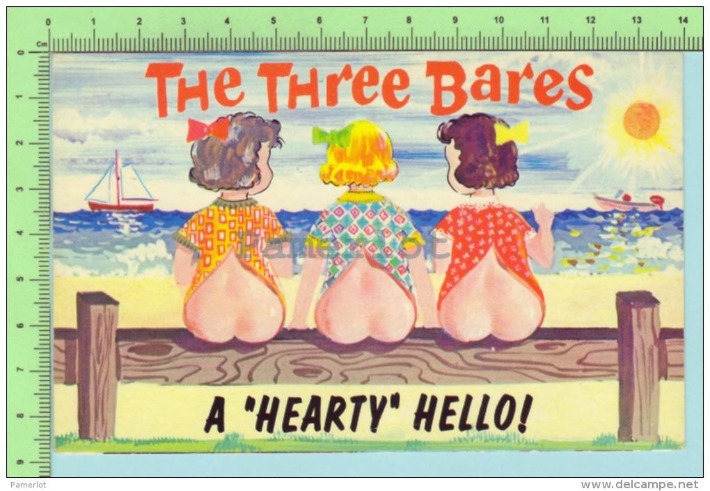 Humour  Comic Nude ( The Three Bares A Hearty Hello !) Carte Postale Post Card 2 Scan - Humour