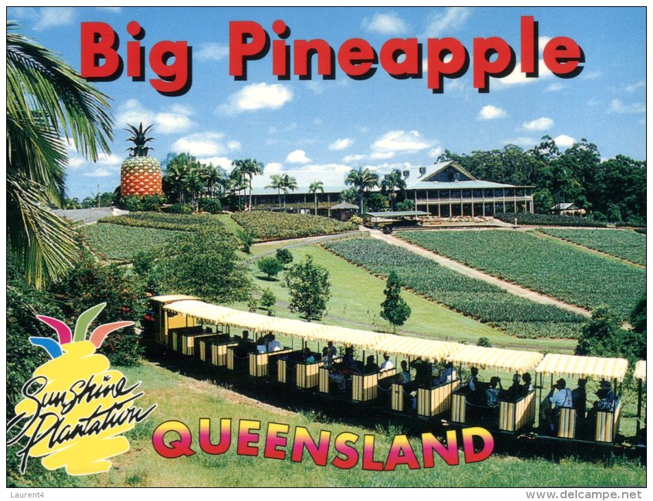 (565) Australia - QLD - Sunshine Plantation - Big Pineapple - Sugar Cane Little Train - Sunshine Coast