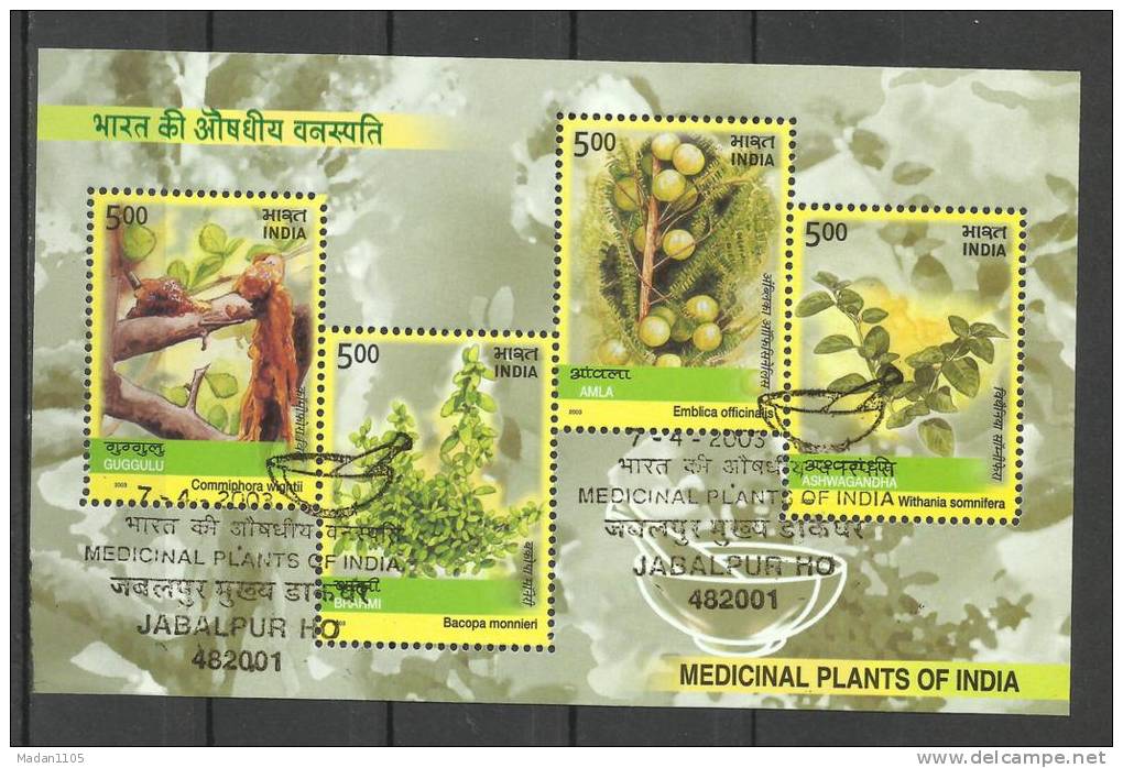 INDIA, 2003,FIRST DAY CANCELLED, MS, Medicinal Plants Of India, , Miniature Sheet, - Gebruikt