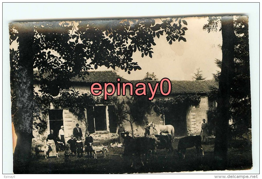 Br - 44 - OUDON - Marleziliere - Ferme  - Chevres - Cheval - Carte Photo - - Oudon