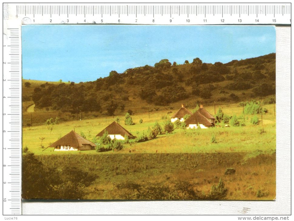 ZIMBABWE -  UDU - Camp  Inyanga - Simbabwe