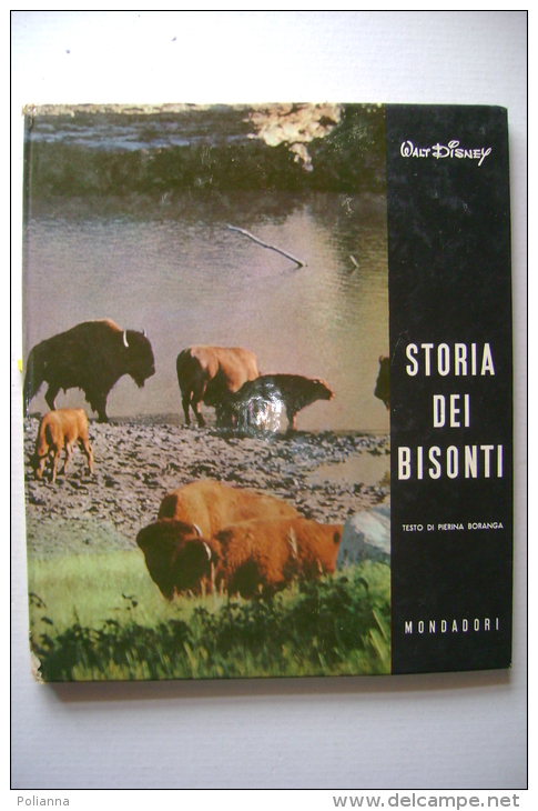 PFH/39 Walt Disney LA NATURA E LE SUE MERAVIGLIE - STORIA DEI BISONTI Mondadori 1961 - Nature