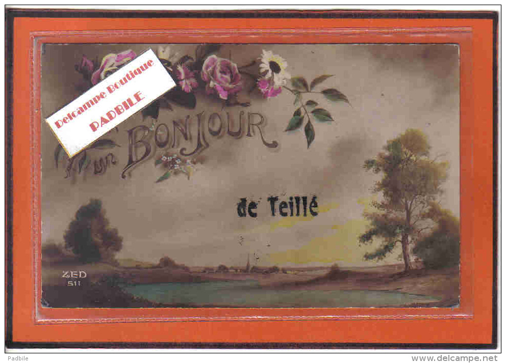 Carte Postale 72. Teillé Trés Beau Plan - Vibraye