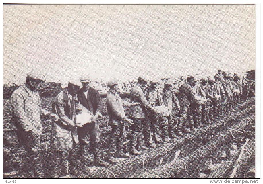 11-Olanda-Paesi Bassi-Nederland-Mestieri-Ambachten-Crafts-Operai Della Diga-Dam Werknemers-Dam Workers- - Den Oever (& Afsluitdijk)