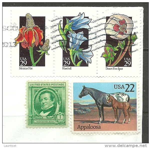 USA Letter To Estonia Estland Estonie 2013 Flowers Horses Etc - Briefe U. Dokumente