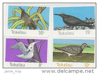 Tokelau-1977 Birds 57-60 MNH - Tokelau