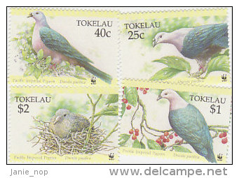 Tokelau-1995 Pacific Imperial Pigeon 204-207 MNH - Tokelau