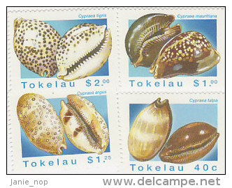 Tokelau-1996 Shells 232-235 MNH - Tokelau