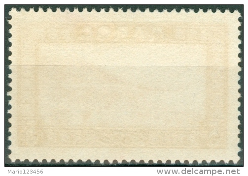 MAROCCO, MAROC, COLONIA FRANCESE, FRENCH COLONY, 1933, FRANCOBOLLO NUOVO, (MNG), Scott 127, YT 131 - Unused Stamps