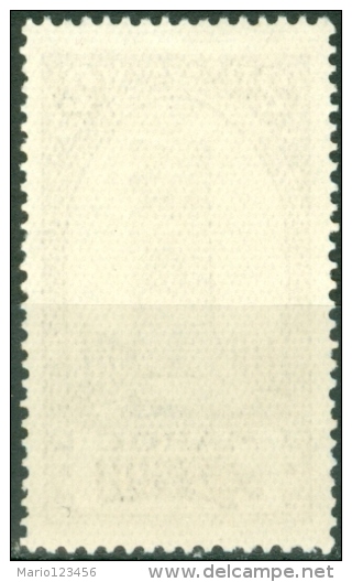 MAROCCO, MAROC, COLONIA FRANCESE, FRENCH COLONY, RABAT, 1923, NUOVO,  (MNG), Scott 91, YT 99, Michel 50 - Ungebraucht