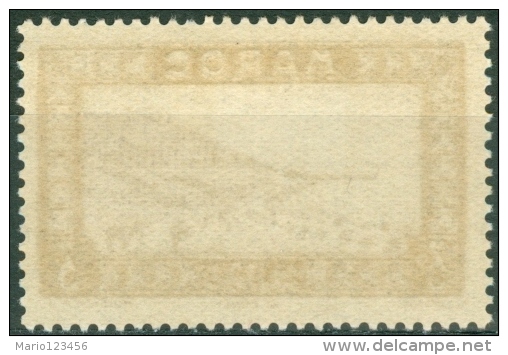 MAROCCO, MAROC, COLONIA FRANCESE, FRENCH COLONY, 1933,  NUOVO,  (MNG), Scott 92, Yt 100, Michel 52 - Nuovi